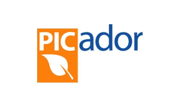 Picador